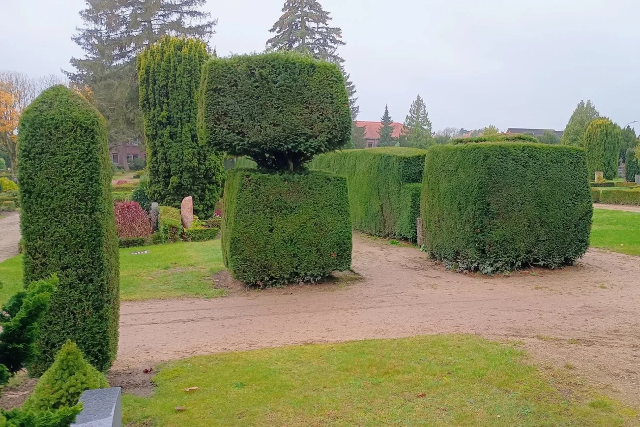 Blick auf Büsche auf einem Friedhof.
