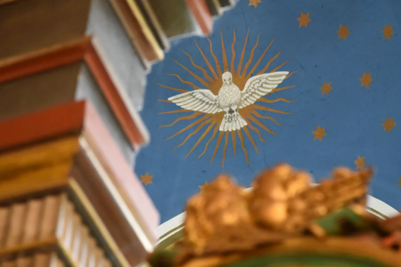 Ein weißer Vogel fliegt vor einer strahlenden Sonne, auf das Kirchengewölbe gemalt.