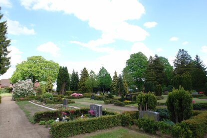 Copyright: Bernd Münchow