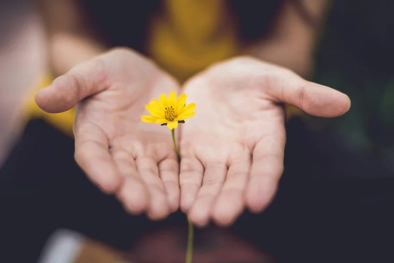 Eine gelbe Blüte ragt aus geöffneten Händen hervor.