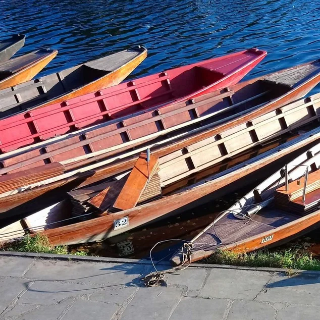 acht verschiedenfarbige Boote nebeneinander an der Anlegestelle befestigt